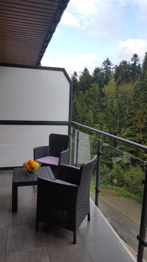 Apartament Dwupoziomowy Z Klimatyzacja Apartment Криница-Здруй Екстериор снимка